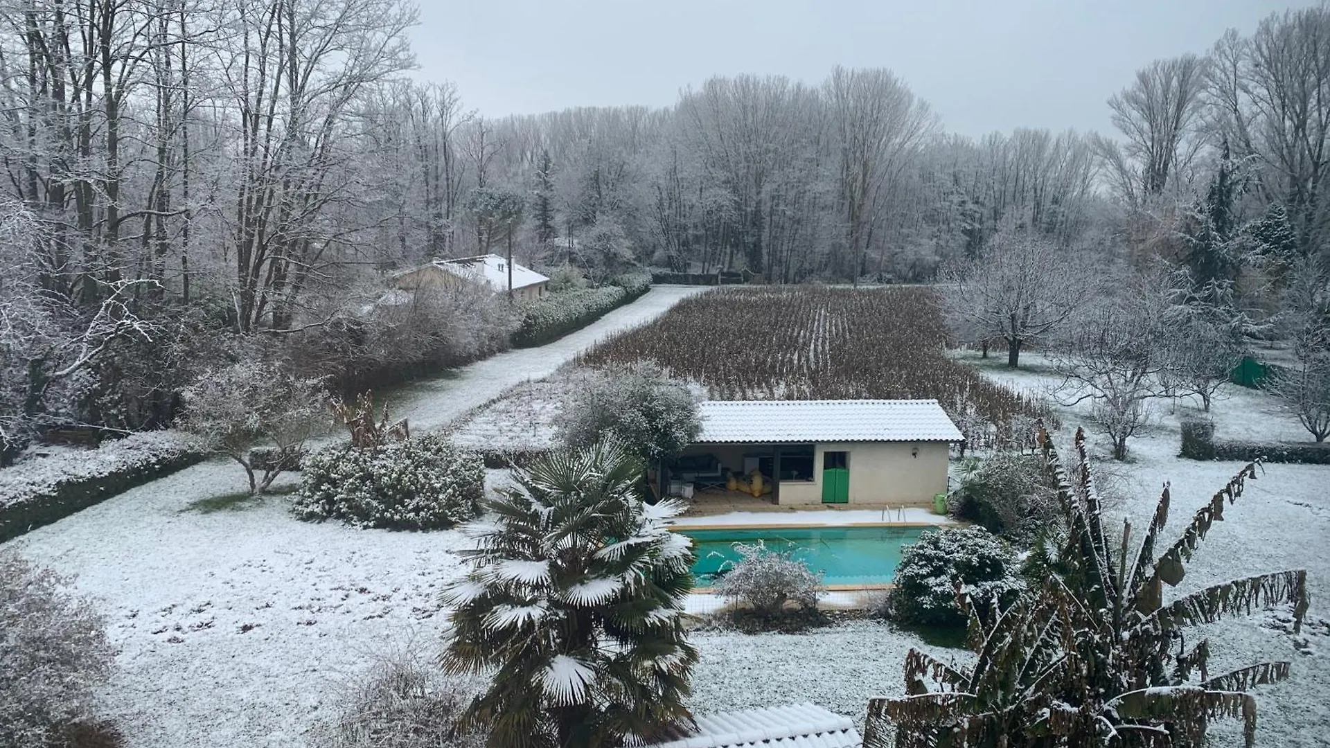 Maison D Hotes Greenhouse Albi Fransa